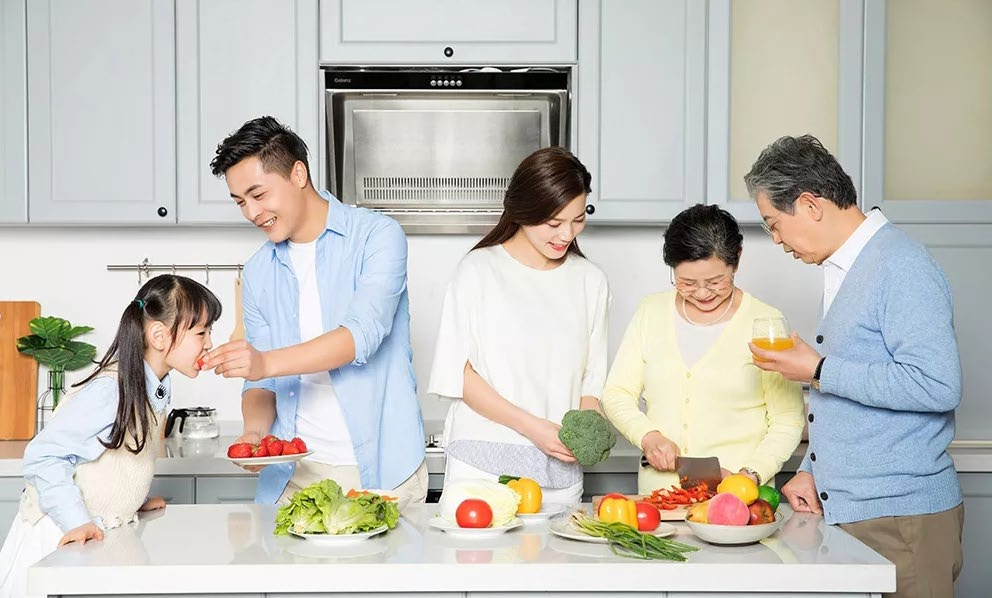 蓝狮在线产品分享—森薇食物垃圾垃圾处理器