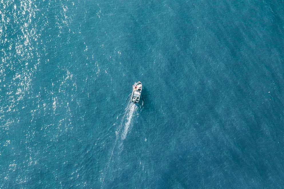 <b>官宣：蓝狮在线用户中心重磅升级！</b>