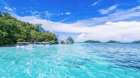 泳池设备,游泳池设备,泳池工程,蓝狮在线泳池