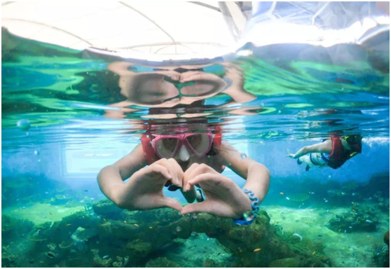 浮潜体验馆,浮潜馆,国内浮潜体验馆 浮潜体验馆,浮潜馆,国内浮潜体验馆