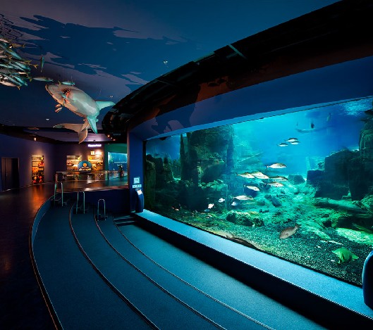 海洋馆设计,海洋馆设计要点,海洋馆设计公司 海洋馆设计,海洋馆设计要点,海洋馆设计公司