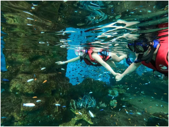 1594106817421582.jpg 5.jpg