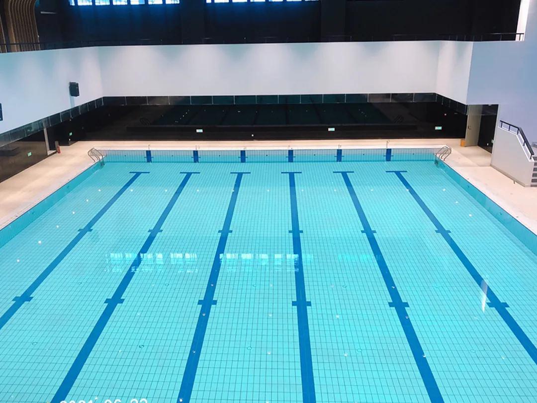 蓝狮在线低氯系统