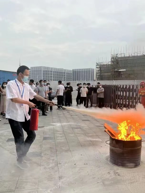 蓝狮在线,蓝狮在线