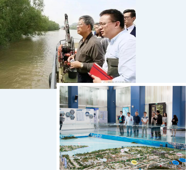 蓝狮在线湿地生态系统