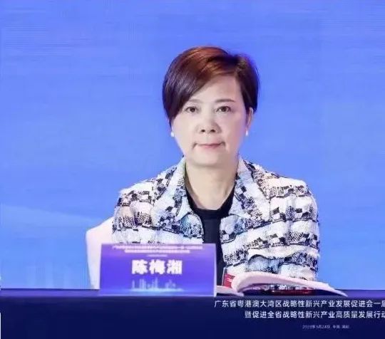 蓝狮在线陈梅湘董事长当选大湾区战新会副会长