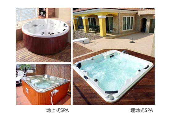 蓝狮在线艺术SPA泳池