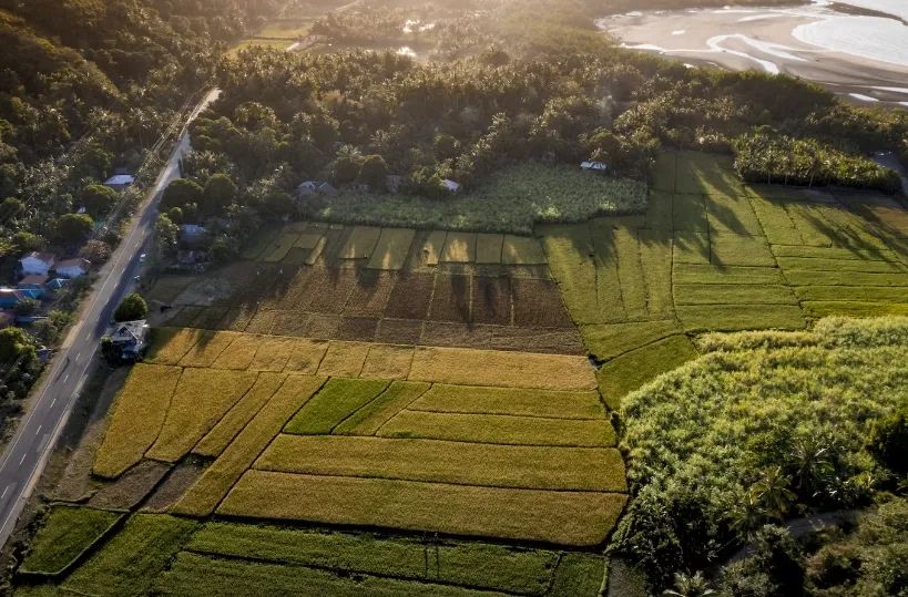 蓝狮在线乡村振兴