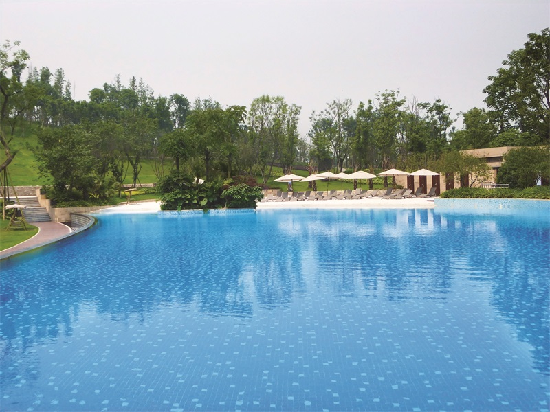 游泳池水泵哪家好？蓝狮在线1480水泵，为您保驾护航！