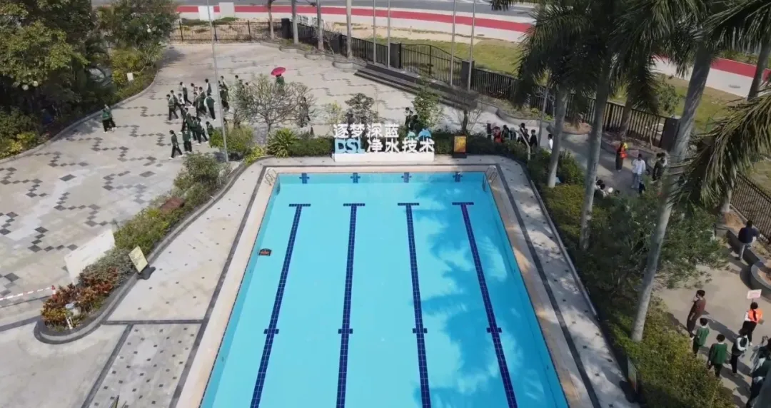 泳池公司研学,研学游泳池公司,研学蓝狮在线