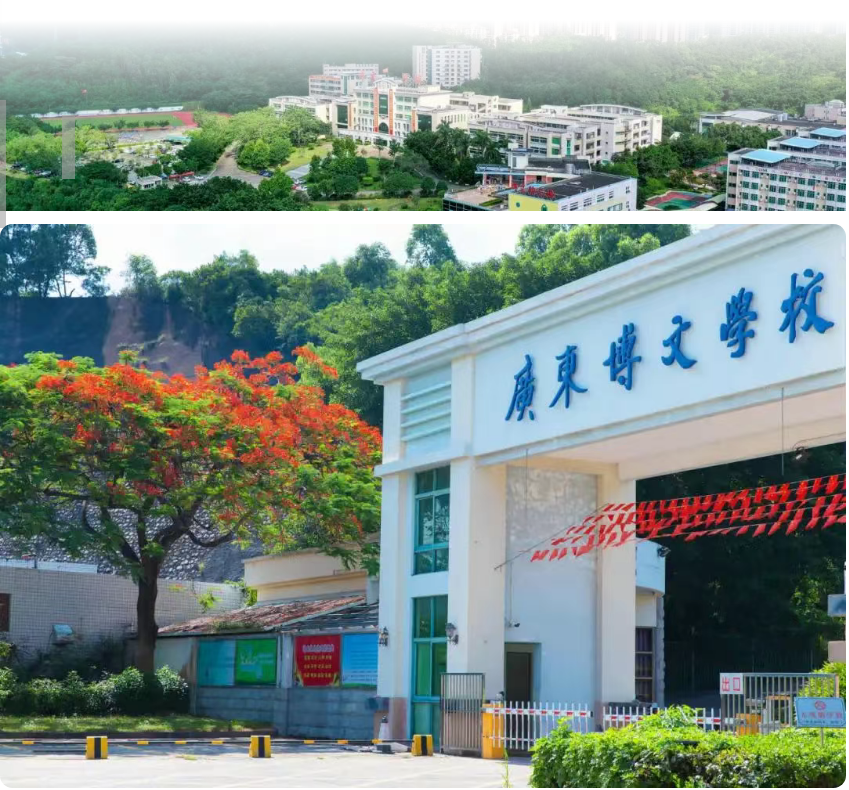 学校游泳池,学校泳池,学校游泳池建造