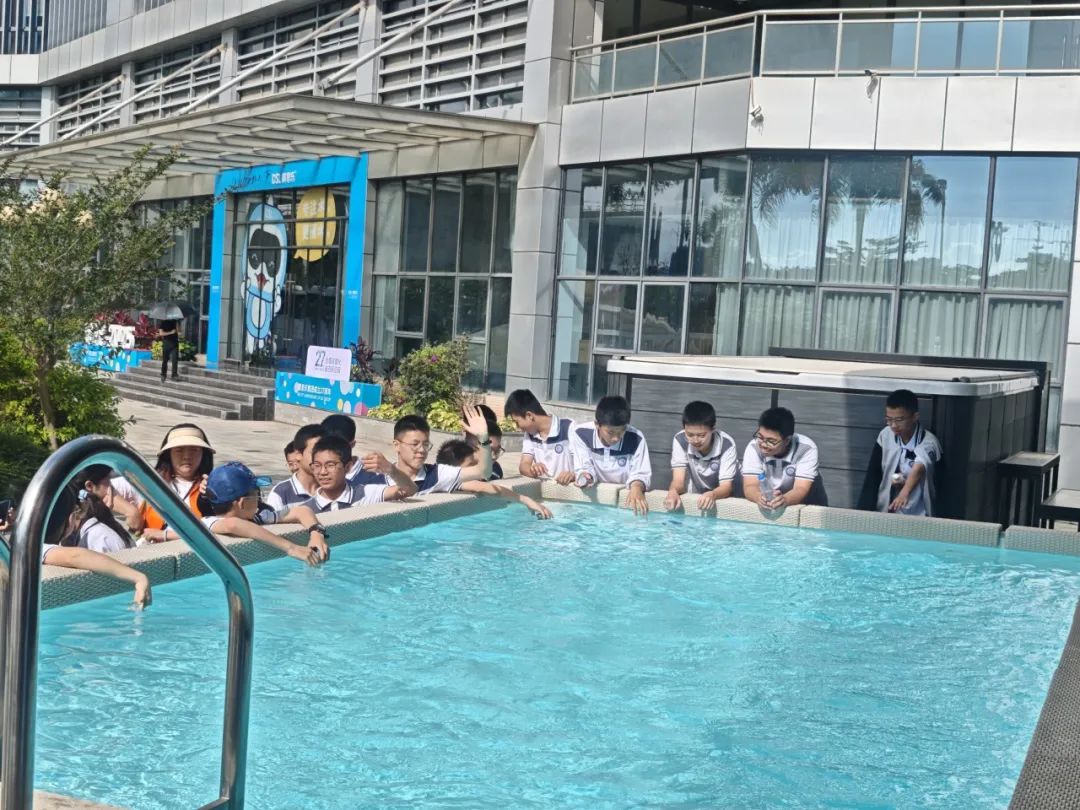 蓝狮在线,蓝狮在线