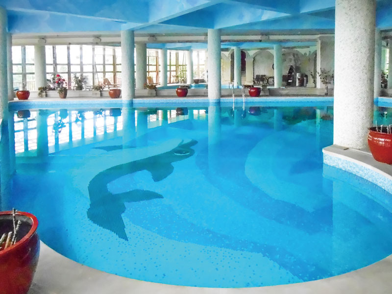 游泳池水处理设备,游泳池水处理系统,泳池水处理