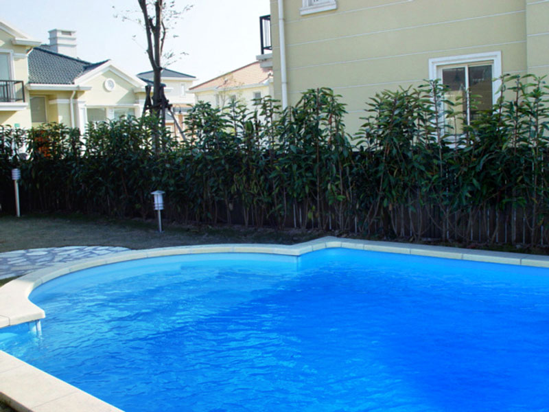 别墅游泳池水处理系统,别墅游泳池水处理设备,建别墅游泳池